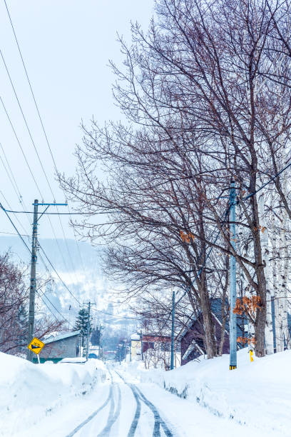 istock Frozen road, Hokaido, Japan 1126434698
