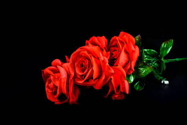 istock Bouquet of red roses on black background 1126436157