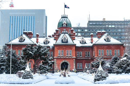 Sapporo, Asia, Hokkaido, Japan, Snow