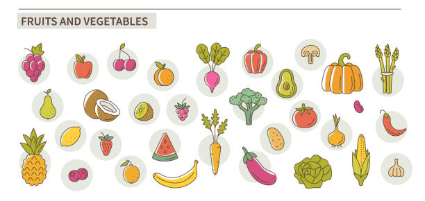 fruits and vegetables Fruits and vegetables icons. Flat line vector illustration isolated on white background. strawberry salad stock illustrations