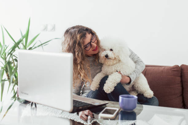 istock Woman working at home and hugging her puppy 1126444181