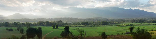 istock Landscapes of agricultural fields. 1126444512