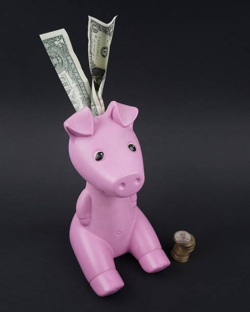 istock Piggy moneybox with dollar and Coins 1126445416