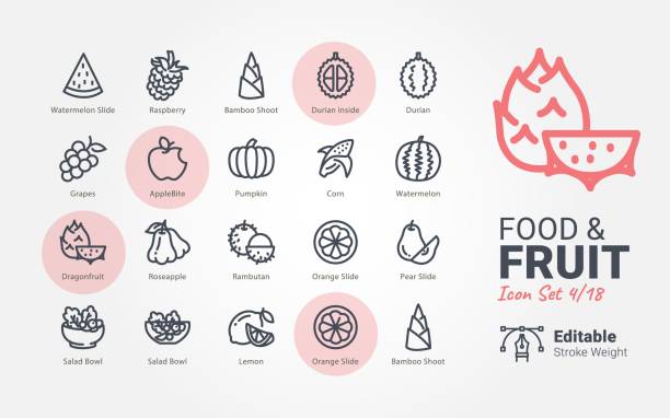 Food & Fruit vector icons Food & Fruit vector icons rambutan stock illustrations