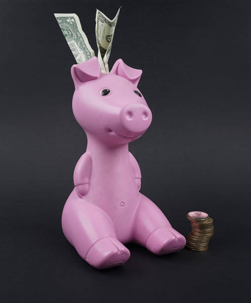 istock Piggy moneybox with dollar and Coins 1126446111