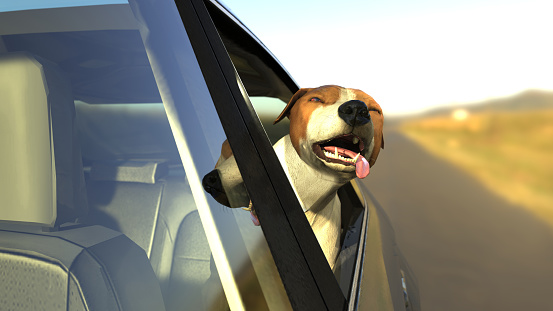 Jack russel terrier sticking hos head out of car window 3d illustration