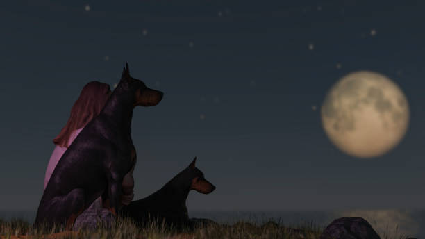 A woman with two doberman dogs sitting on grass moon and ocean view 3d render