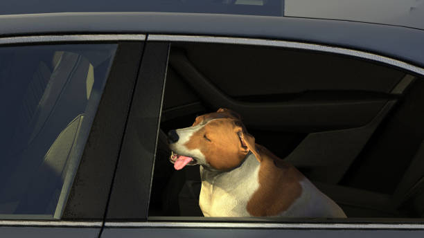 istock Jack russel dog  sitting back seat and enjoying view from car window 3d illustration 1126447017