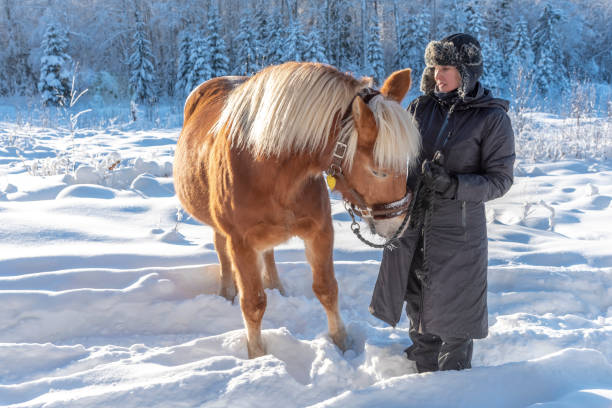 istock Woman and horse in winter 1126447106