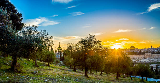 puesta de sol de jerusalén desde el monte de los olivos - the new city fotografías e imágenes de stock