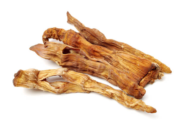istock Separated on white background of dried bamboo shoots 1126447560