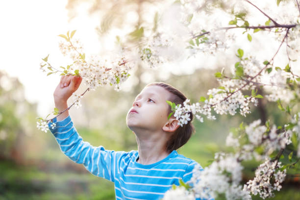 istock Cute little boy enjoy blooming tree with white flowers in spring warm day. 1126449450