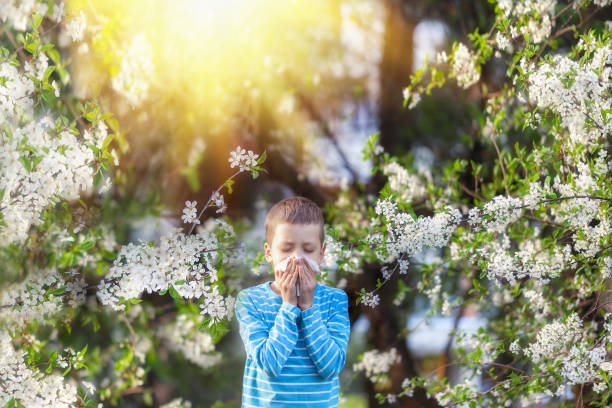 Boy sneezes in the park against the background of a flowering tree because he is allergic . stock photo