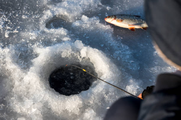 istock Fishing in the winter season under ice 1126452302