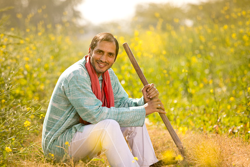 Indian farmer on agricultural field