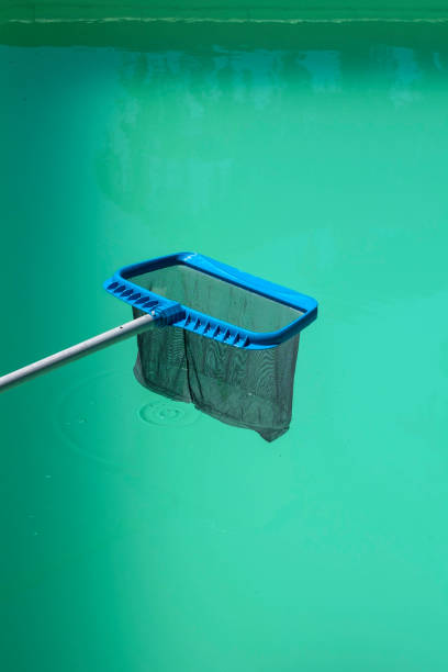 istock A pool skimmer net above a green cloudy pool 1126455237