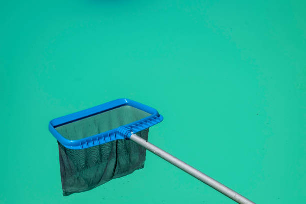 istock A pool skimmer net above a green cloudy pool 1126455834