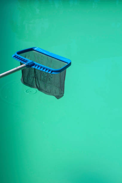 istock A pool skimmer net above a green cloudy pool 1126455905