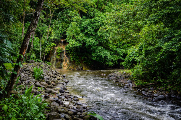A popular destination in Costa Rica, Volcanic hot springs at the base of a volcano.