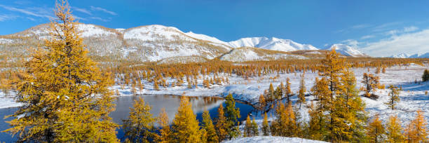 Beautiful autumn view of the valley of the river Yasandya. Oymyakon. Yakutia. stock photo