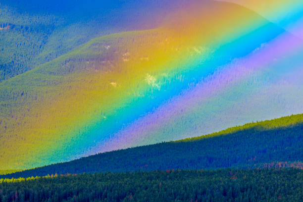 istock Jasper National Park in Alberta Canada 1126469138