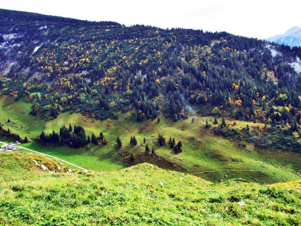 istock Fall colors in forests of Alpstein mountain range and Thur River valley 1126469649