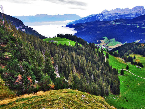 istock Fall colors in forests of Alpstein mountain range and Thur River valley 1126469676