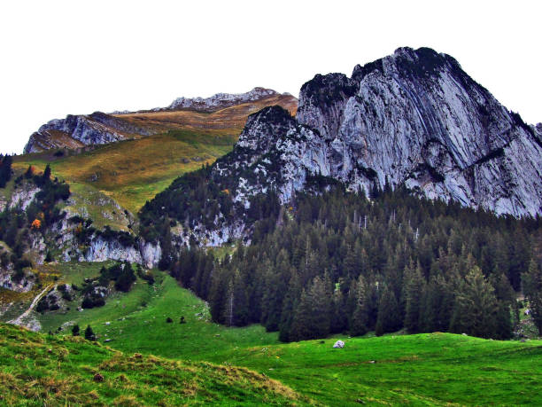 istock Autumn atmosphere on pastures and hills in the Thur River Valley 1126469993