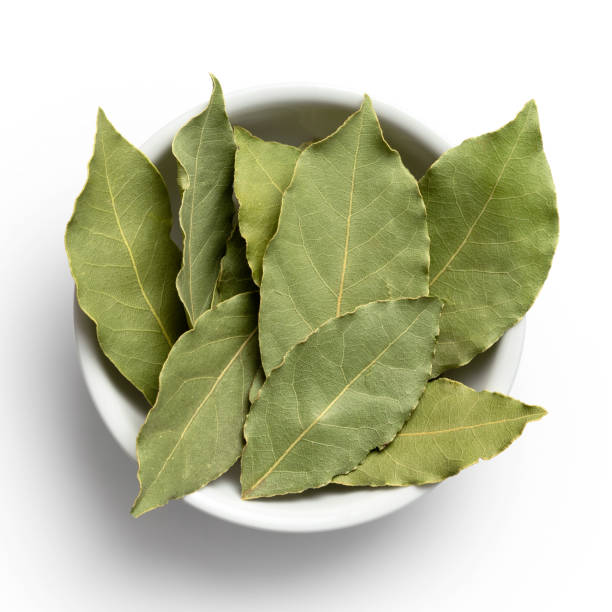 istock Dried bay leaves in white ceramic bowl isolated on white from above. 1126474302