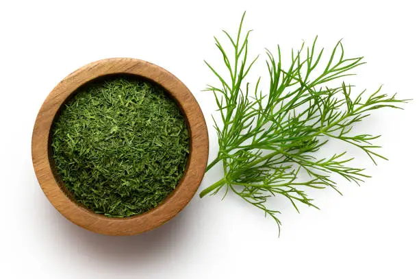 Photo of Dried chopped dill in a dark wood bowl next to fresh dill leaves isolated on white from above.