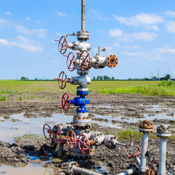 olej dobrze po naprawie w błocie i kałużach. - flanges flange bolt oilfield zdjęcia i obrazy z banku zdjęć