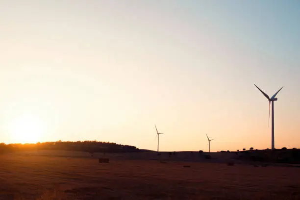 Silhouette of three windmills that produce green energy in a wind farm at sunset. They are in a rural environment surrounded by crops and trees, the sky is clean and clear. Copy space