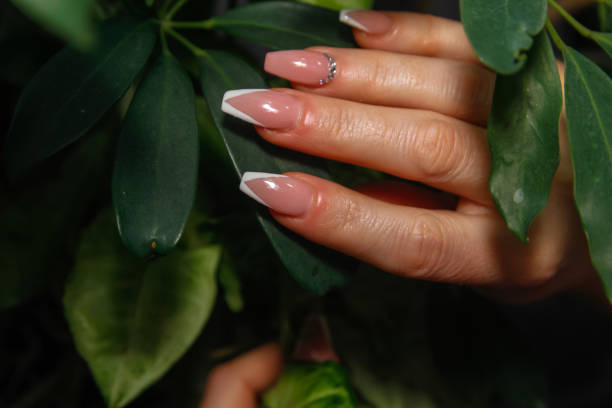 istock Woman's hands touching leaves of indoor plants 1126481737
