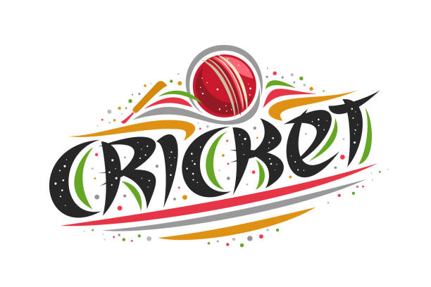 Vector Poster For Cricket Sport Stock Illustration - Download Image Now -  Sport of Cricket, Vector, Web Banner - iStock