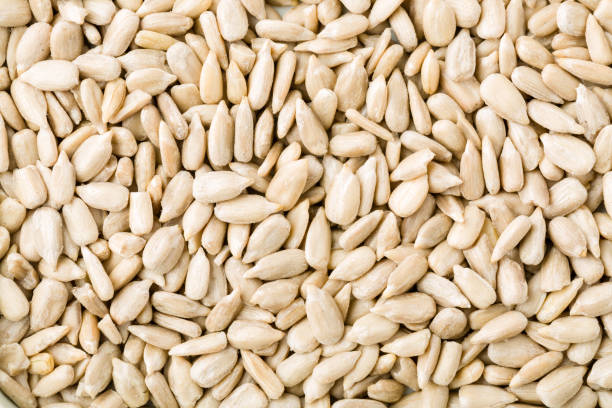 istock Top view of shelled sunflower seeds background texture 1126486288