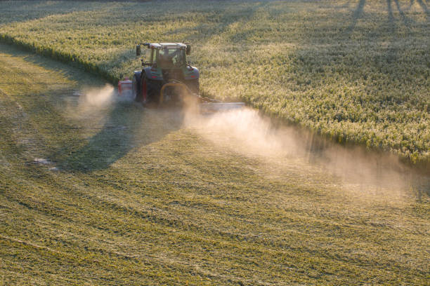 istock Tractor mowing the grass on the lawn in winter. 1126487601