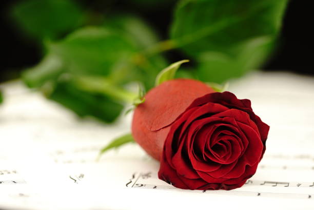 istock Red Rose on Music Sheet 1126487825