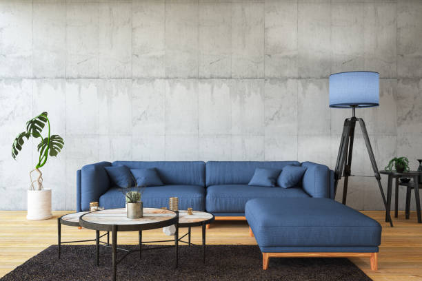 Modern Living Room with Sofa and Decorations