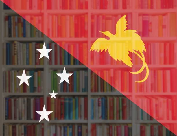 papa new guinea flag with full book shelves background - library book shelf generic imagens e fotografias de stock