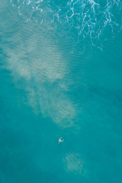 istock Fort Lauderdale Beach Aerial View 1126491334