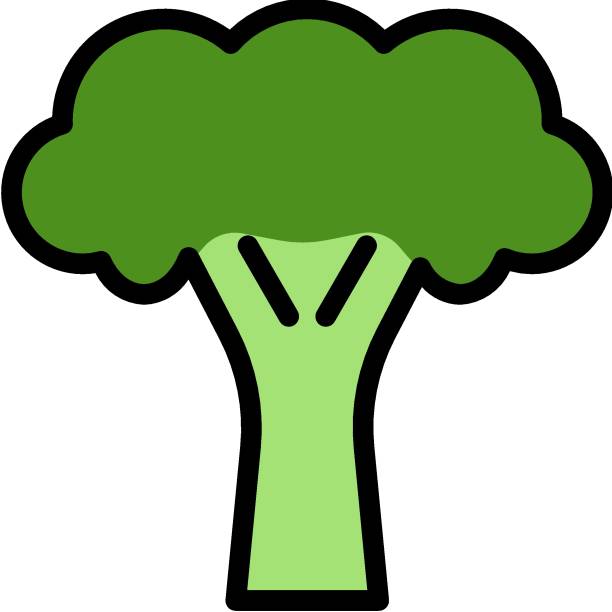 ilustraciones, imágenes clip art, dibujos animados e iconos de stock de brócoli - agriculture backgrounds cabbage close up