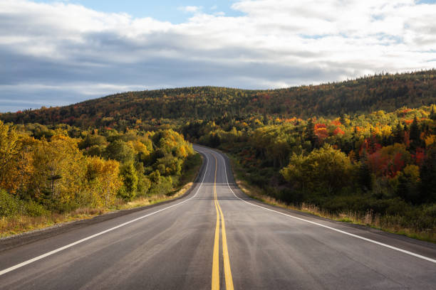 istock Travel in Newfoundland 1126492379