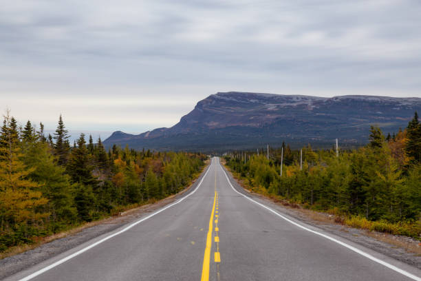istock Travel in Newfoundland 1126492419