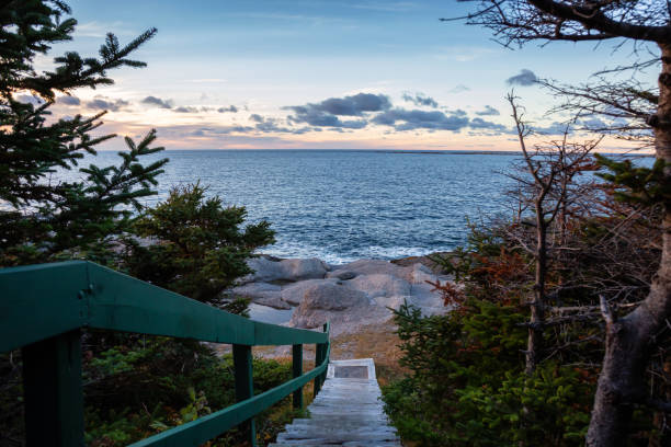 istock Landscape in Newfoundland, Canada 1126492553