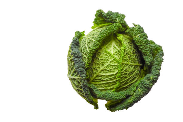 cavolo verde isolato su sfondo bianco - green cabbage foto e immagini stock
