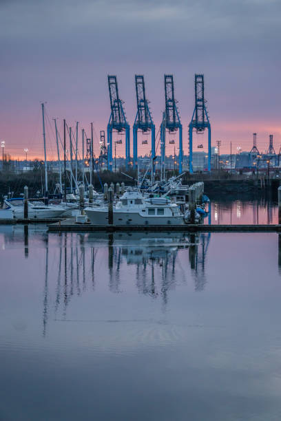 istock Marina At Port 3 1126492795