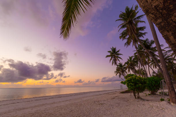istock Zanzibar, landscape sea, beach, sunset 1126495022
