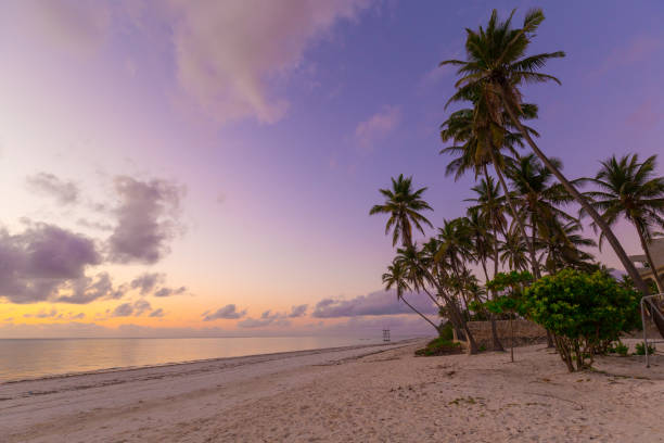 istock Zanzibar, landscape sea, beach, sunset 1126495062