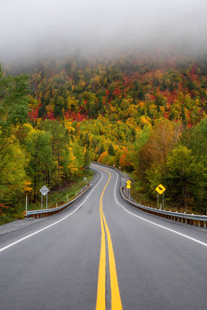 Quebec Scenic road in the mountains surrounded by vibrant Fall Color Trees. Taken in Forillon National Park, near Gaspé, Quebec, Canada. forillon national park stock pictures, royalty-free photos & images