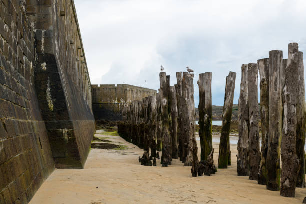 Wall and tree trunks on the beach of Saint-Malo (Brittany, France) on a cloudy day in summer
